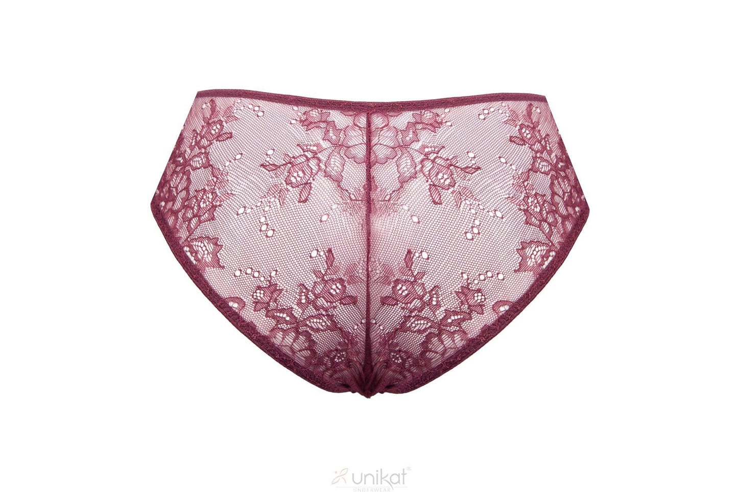 Sheer Mesh Lace Low Rise Bikini Panty Caro - STREET STYLE