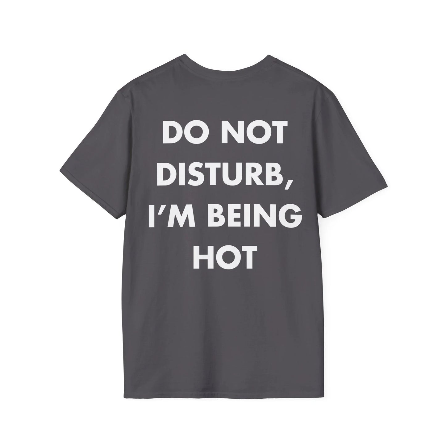 DO NOT DISTURB, I’M BEING HOT - Everything I Love - Unisex T-Shirt - Back Print - STREET STYLE