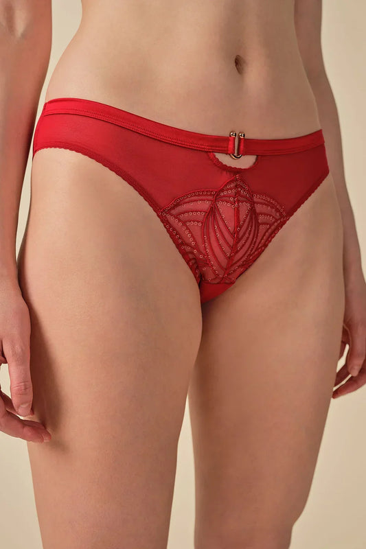 Gossard Viva Red Sheer Embroidered Bikini Panties - STREET STYLE
