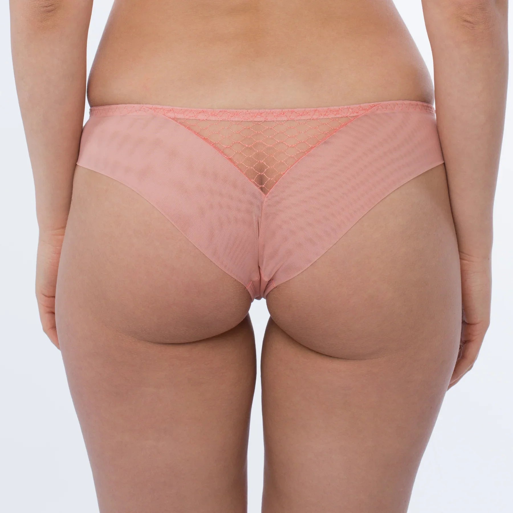 Sheer Mesh Tulle Tanga Panty Lea - STREET STYLE