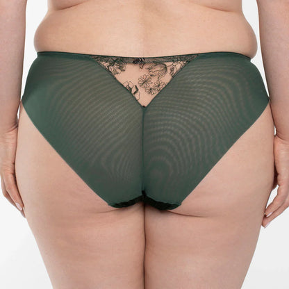 Velvet Sheer Embroidered Brief Panty Ola - STREET STYLE
