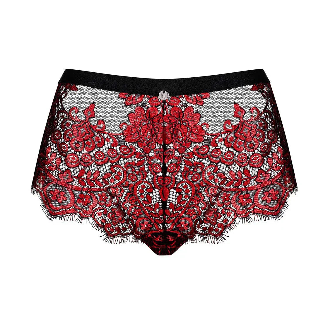 Sheer Seductive Lace Shorties Panty Obsessive Redessia - STREET STYLE