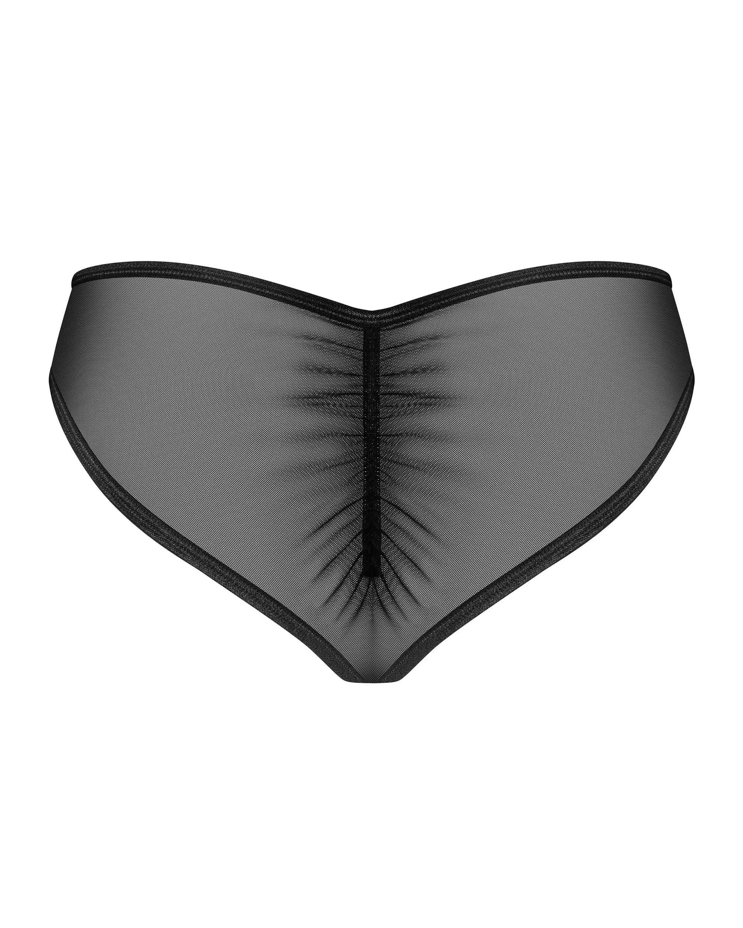 Sheer Mesh Lace Bikini Panty Obsessive Donarella - STREET STYLE