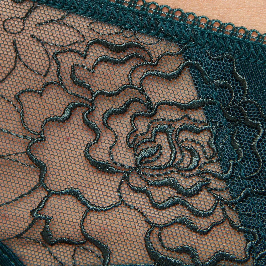 Semi Sheer Low Rise Bikini Panty Pamela Pine Green - STREET STYLE