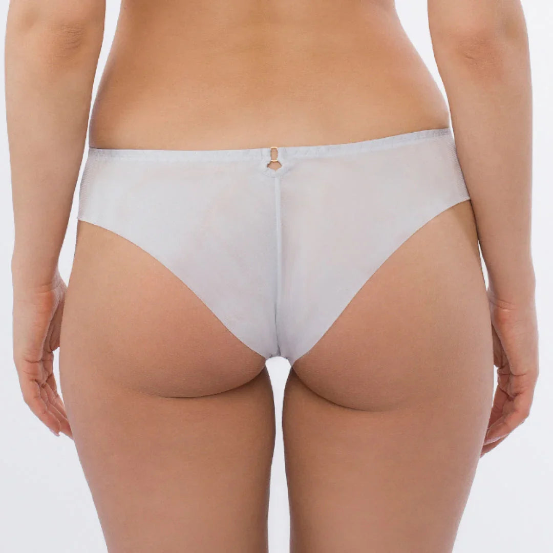 Sheer Mesh Tulle Embroidered Tanga Panty Sweet - STREET STYLE