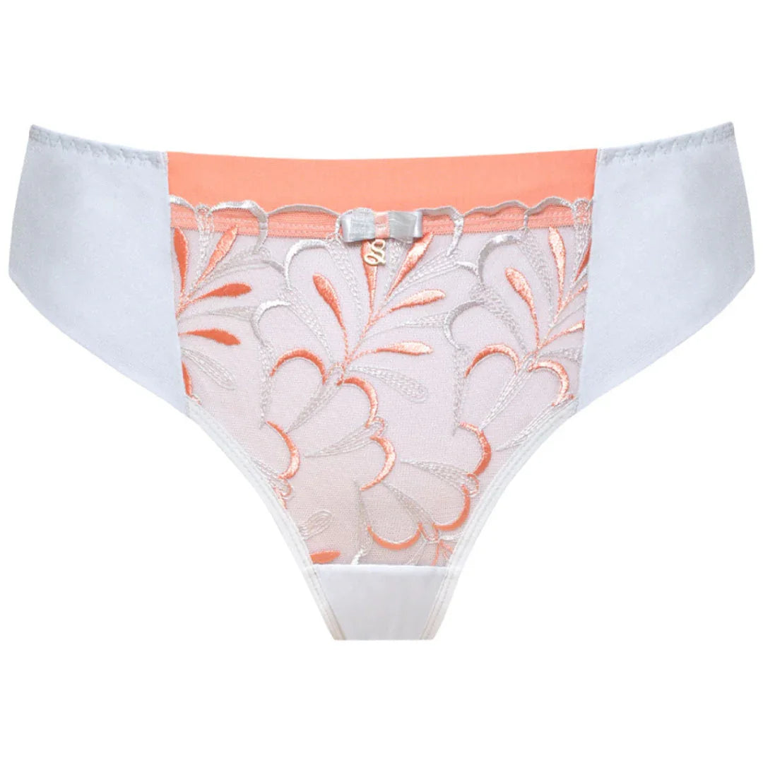 Sheer Mesh Tulle Embroidered Tanga Panty Sweet - STREET STYLE