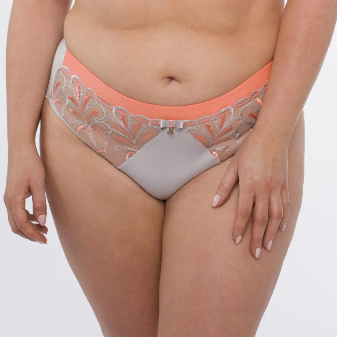 Sheer Mesh Tulle Embroidered Brief Panty Sweet - STREET STYLE