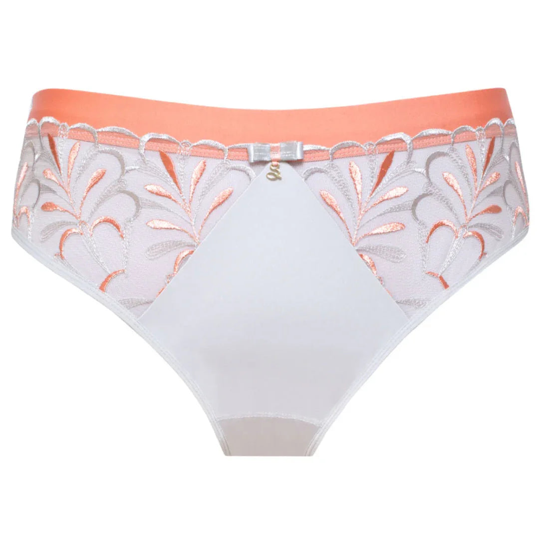 Sheer Mesh Tulle Embroidered Brief Panty Sweet - STREET STYLE