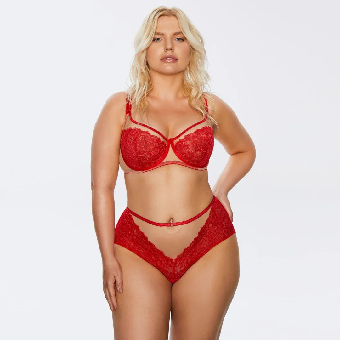 Soft Lace High Waist Brief Panty Kinga Mind Love - STREET STYLE