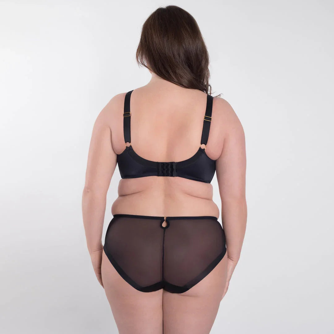 Sheer Mesh Tulle Embroidered Brief Panty Perla Black - STREET STYLE