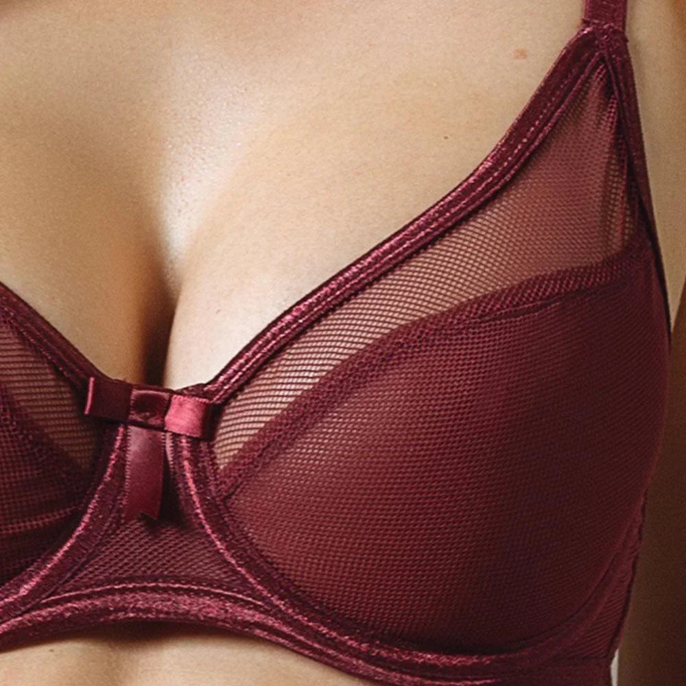 Sexy Fishnet Sheer Bra Claudette Rouge Noir - STREET STYLE