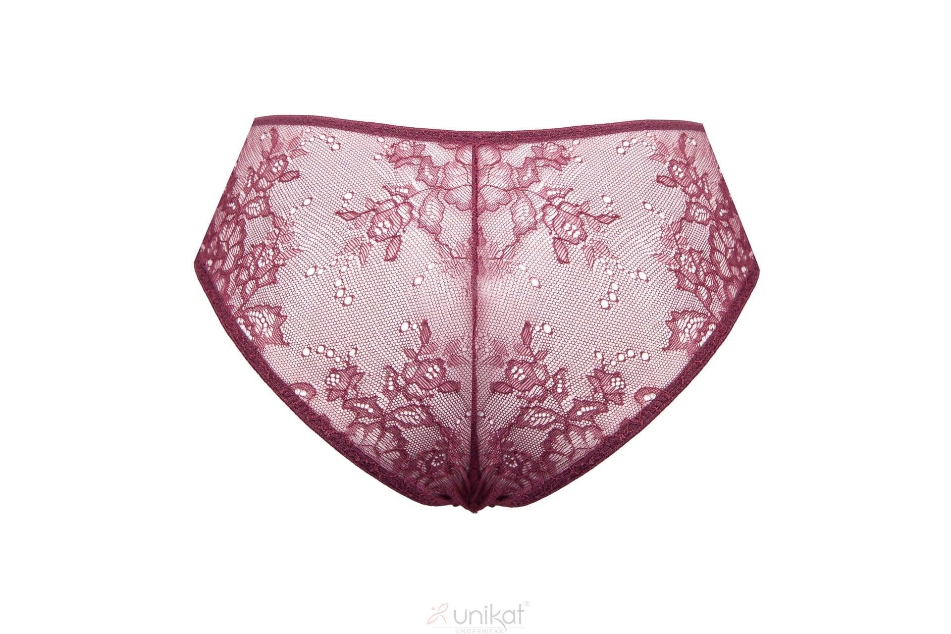 Sheer Mesh Lace Low Rise Bikini Panty Caro - STREET STYLE