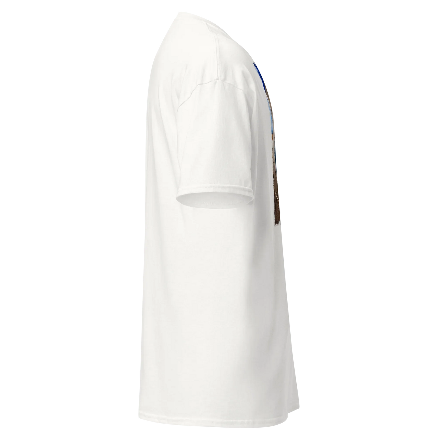 T-shirt Uomo Route 66 - Stampa Vintage Iconica Americana 12066-4 - STREET STYLE