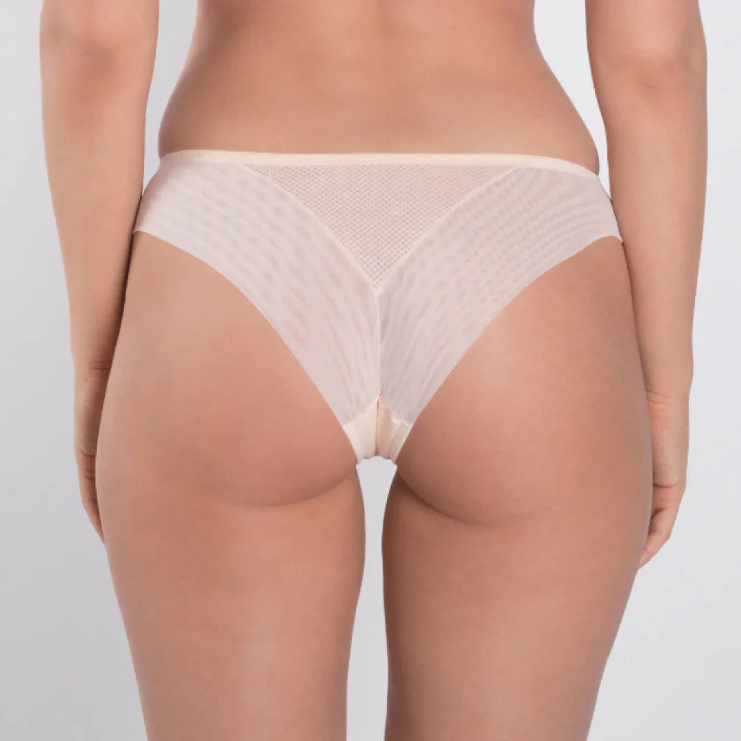 Sheer Mesh Tulle Embroidered Tanga Panty Valeria Biscuit - STREET STYLE