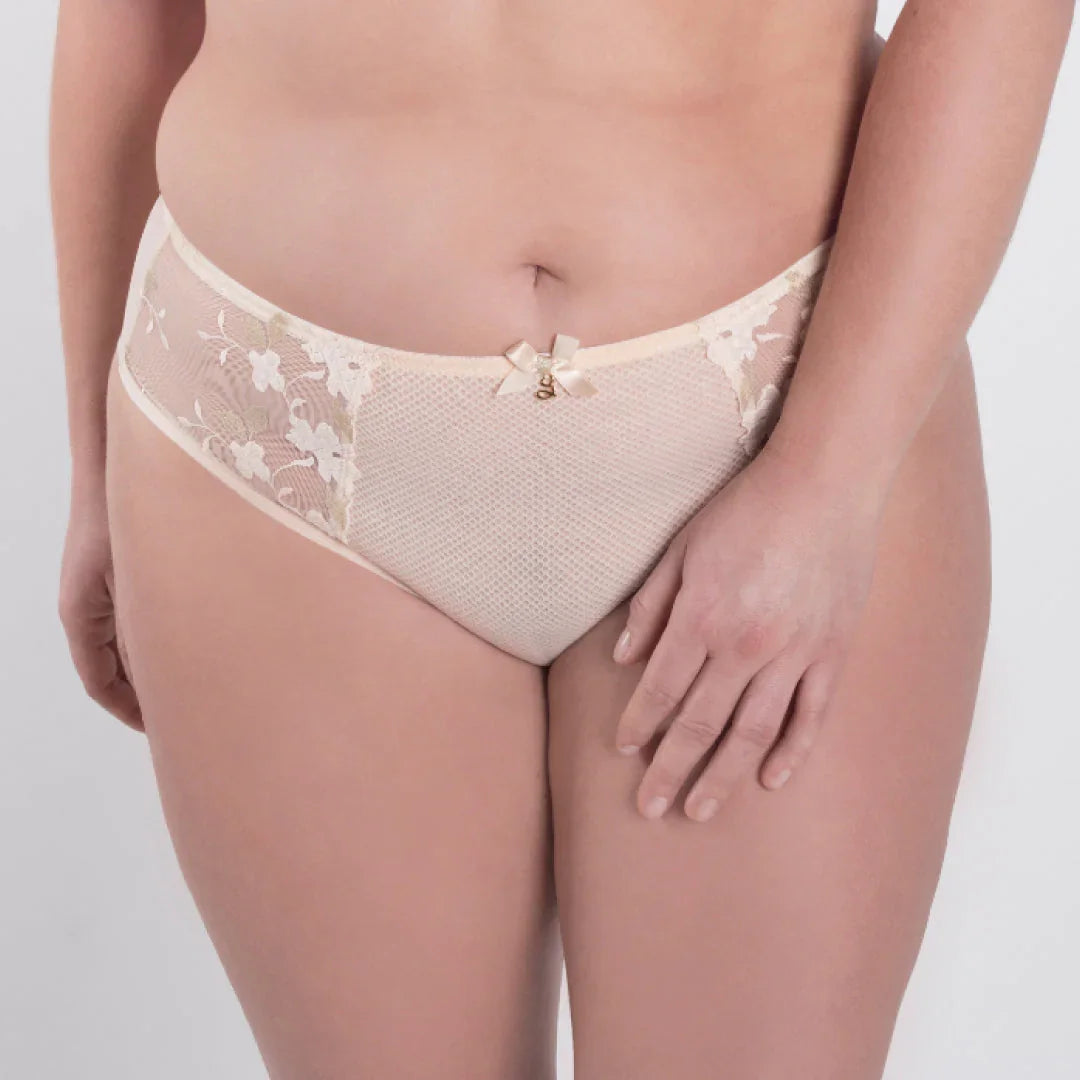 Sheer Mesh Tulle Embroidered Brief Panty Valeria Biscuit - STREET STYLE